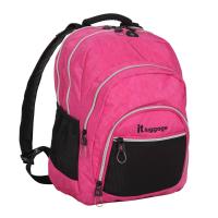 20-0950-C31 Crinkle Nylon Multi Section Backpack Honeysuckle